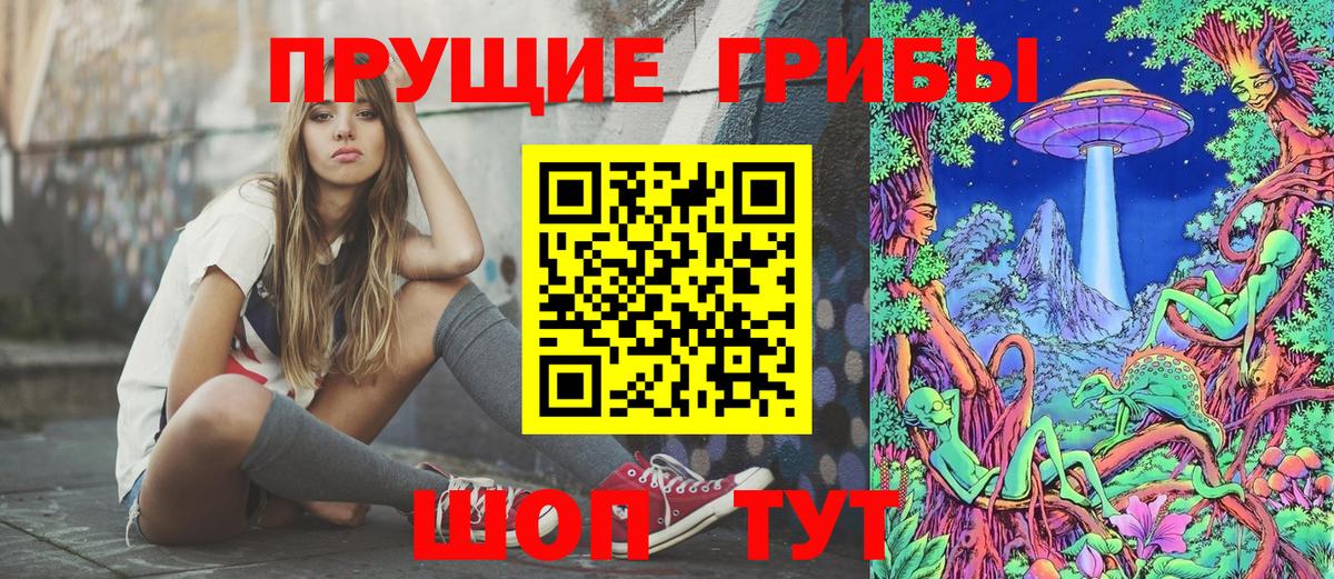 Псилоцибиновые грибы Psilocybe  Вход с VPN  Магадан 